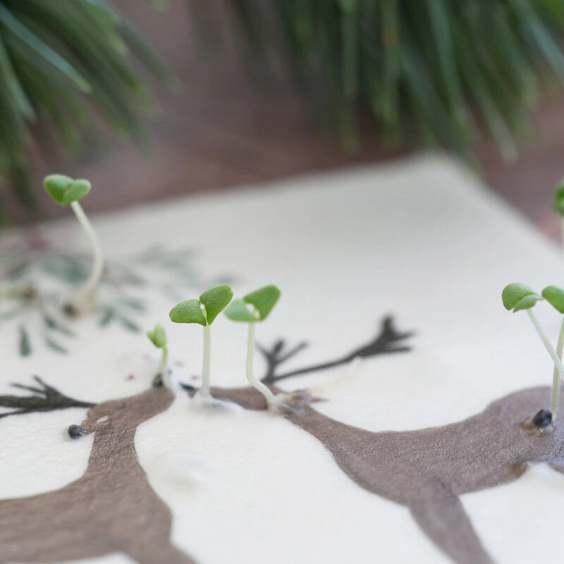 Heylittlegreen Postkarte "Rentiere"