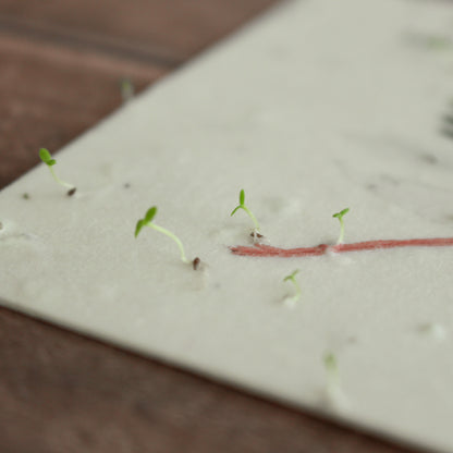 Heylittlegreen Postkarte "Ein Bündel voller Glück"