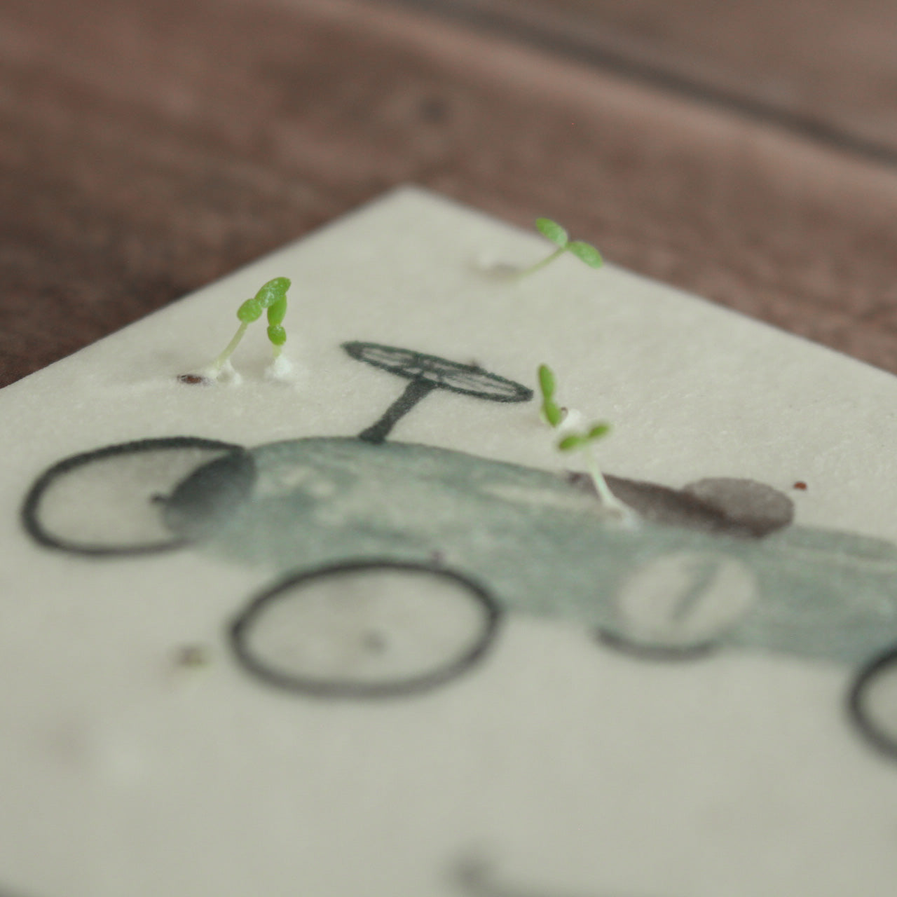 Heylittlegreen Postkarte "Kleines Wunder- Junge"