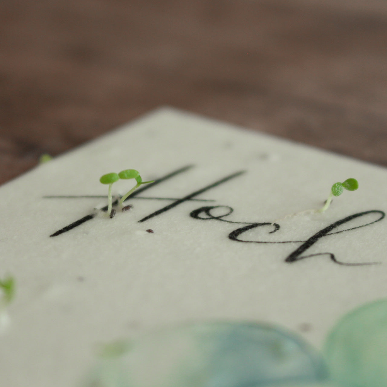 Heylittlegreen Postkarte "Hoch sollst Du leben!"