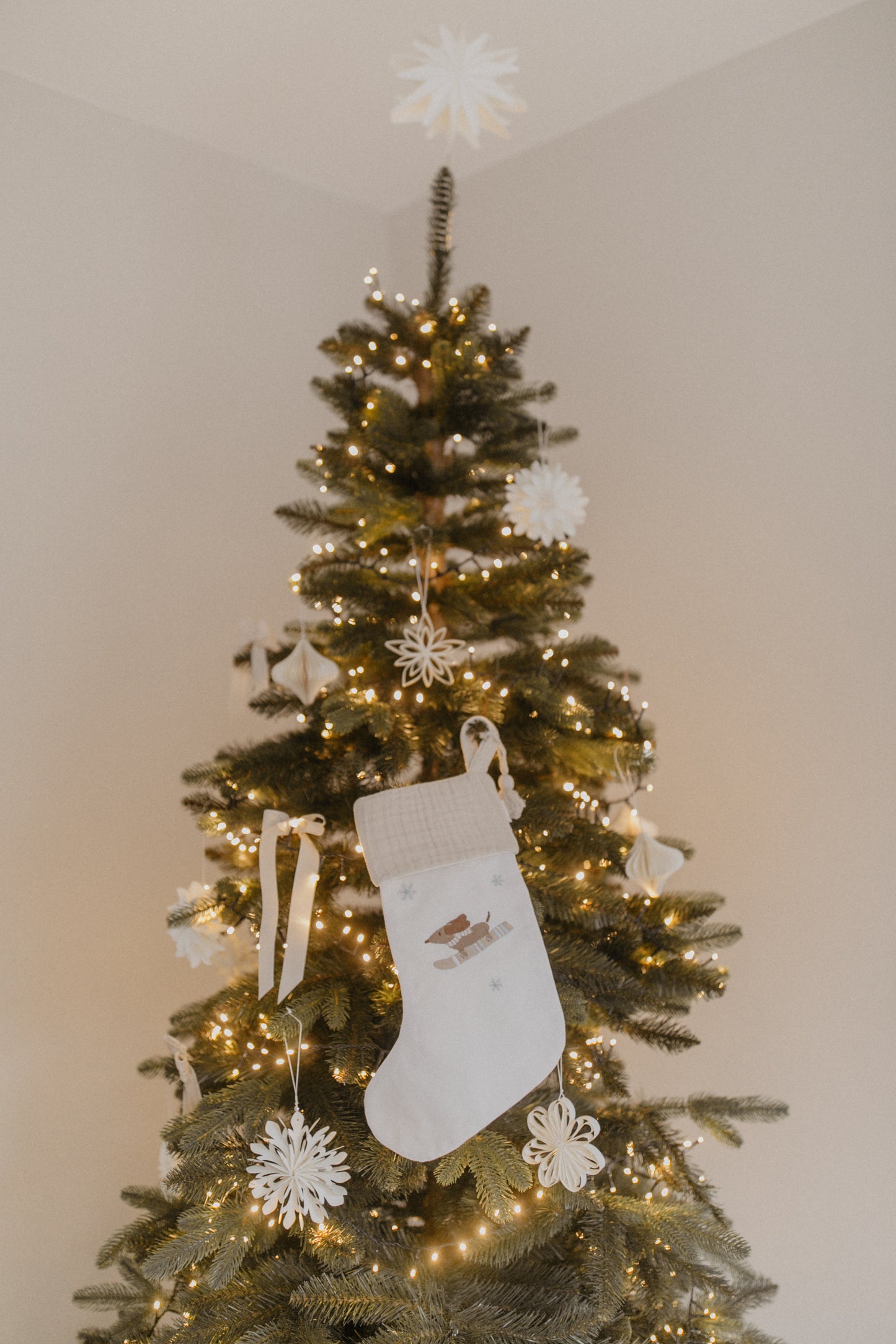 Leevje Weihnachtsstrumpf Dog