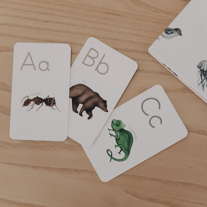 Eulenschnitt ABC Karten